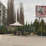С 16 декабря 2019 года в Воронеже откроются елочные базары