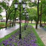 В Воронеже создадут более 200 цветников