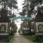 Парк Дельфин в Воронеже: история