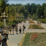 Старое фото парка Динамо в Воронеже